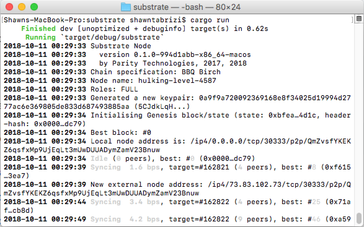 Screenshot of BBQ Birch running in Terminal