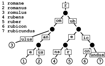 Trie Structure