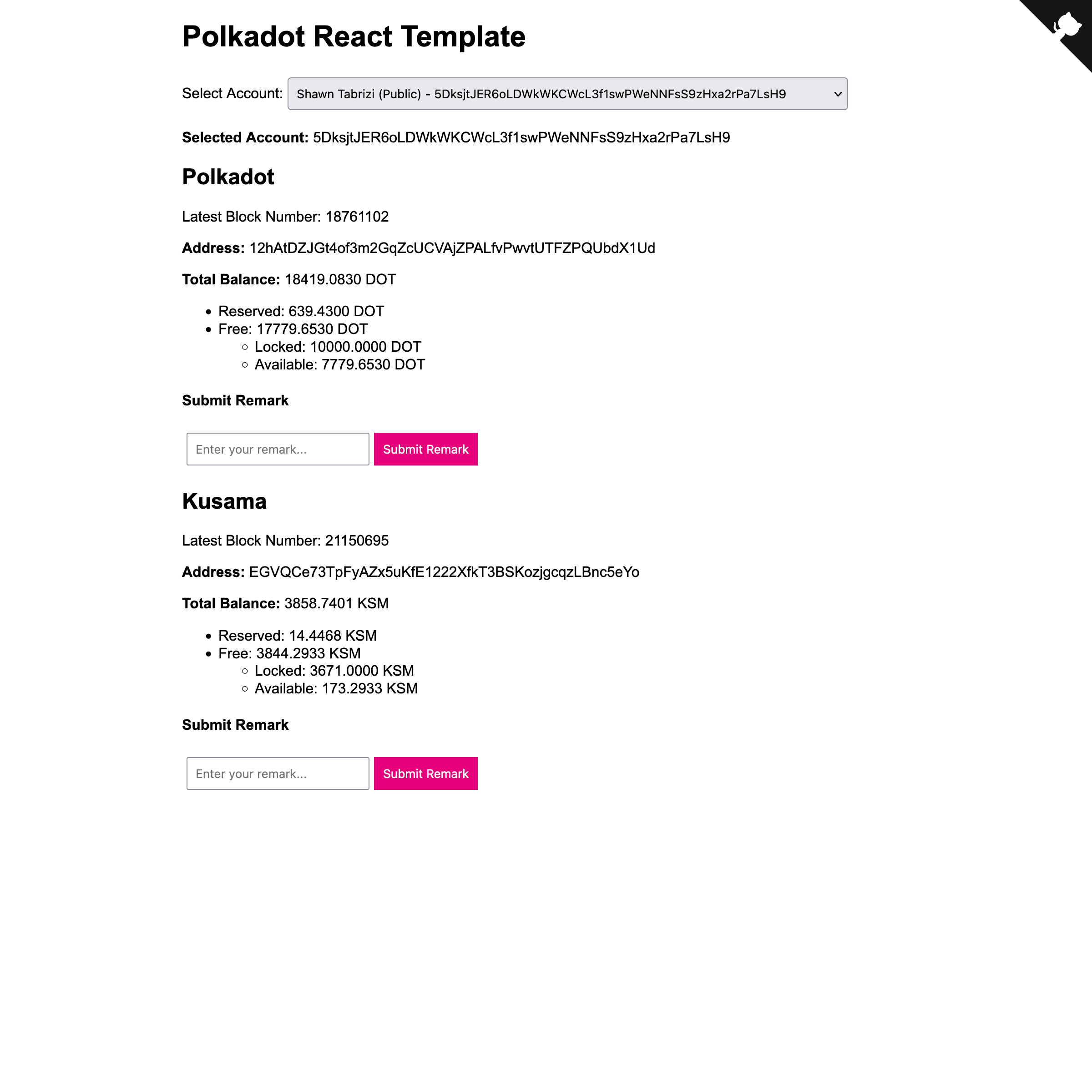 polkadot-react-template